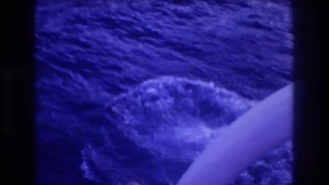 1982: gentleman jumps and swan dives while enjoying the water ACAPULCO MEXICO