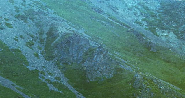 Denali National Park Grizzly Bear Sitting &amp; Sleeping 4K (19)