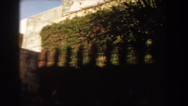 1959: green bushes that have been shaped in front of a building CASABLANCA