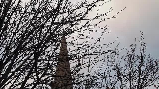 Top of a Celtic Church Behind Dry Tree Branches With a Few Dead Leaves. Blue Sky on a Background. Du