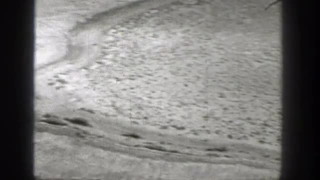 1938: loneliness is truly in the desert. WASHINGTON