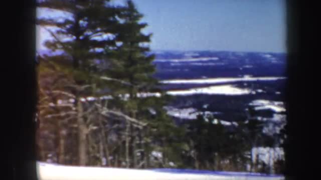 1962: snowy nature scene of lonely trees. VERMONT