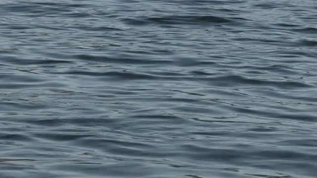 Hawaiian Water Moves In The Morning