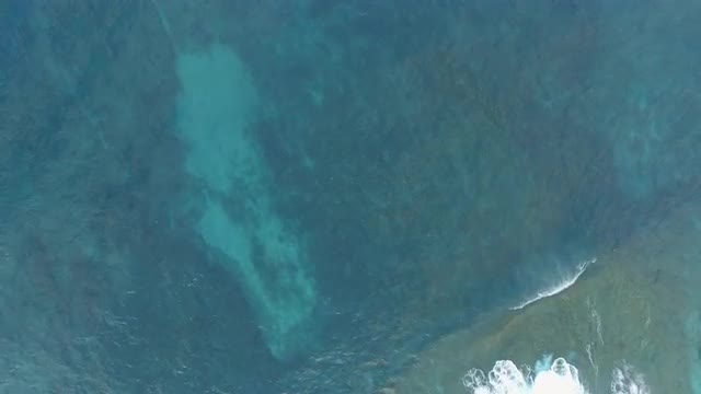 Aerial shot of blue ocean surface and foamy waves