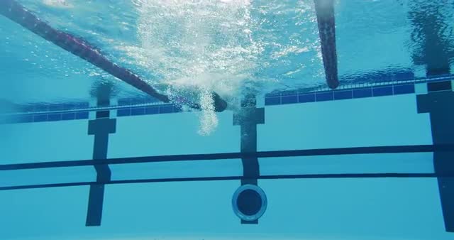 Professional Sports Woman In The Swimming Pool Swimming Butterfly Stroke