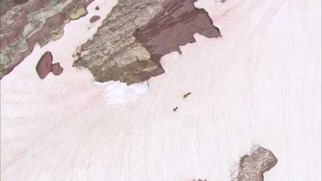Aerial shot of a mother brown bear and her cub running down glacier