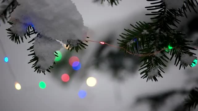 Outdoor Christmas Tree Decorated With Glowing Holiday Garland Among Snow Covered Fir Forest at Winte