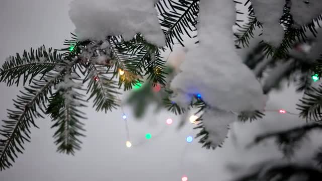 Outdoor Christmas Tree Decorated With Glowing Holiday Garland Among Snow Covered Fir Forest at Winte