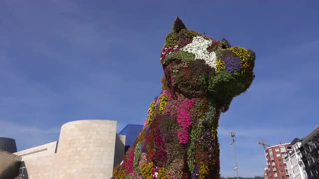 A pan up of Puppy by Jeff Koons at the Guggenheim Bilbao