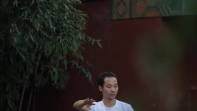 CU HA Men playing tradition board game on bench, view of hands / Beijing, China