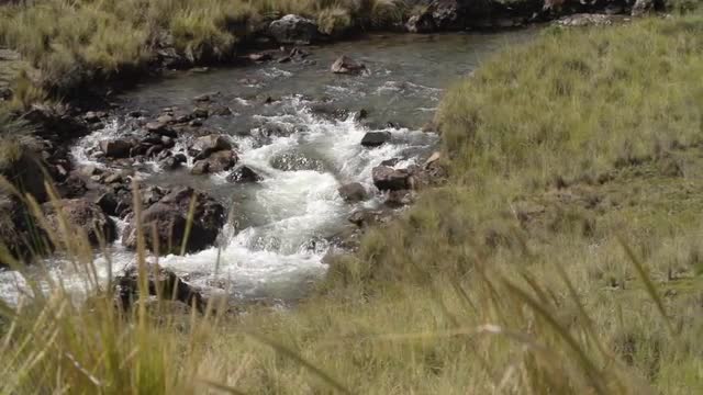 Right pan of whitewater in Andes river + grasslands