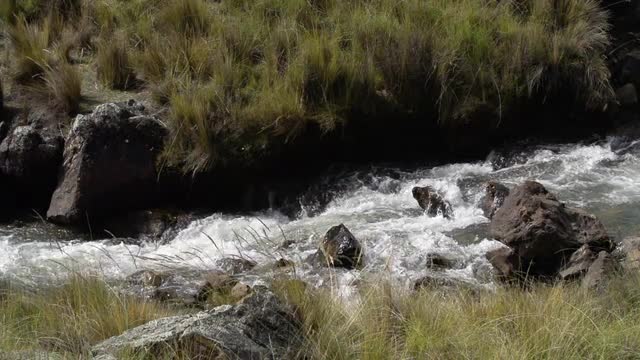 High speed static shot of Andes Whitewater &amp; Grassland