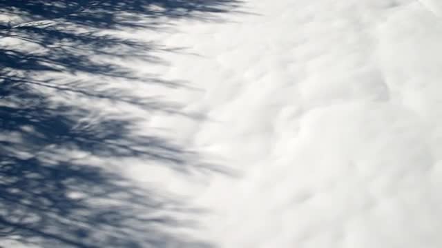 Aerial view of snowy Meadow with tree shadow.