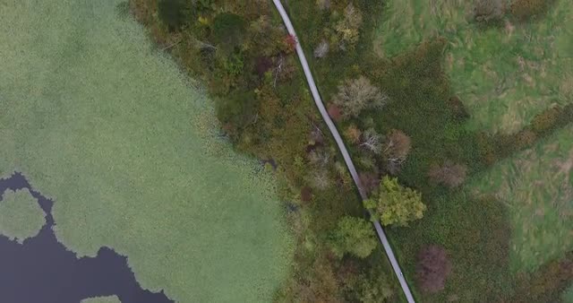 Aerial top down view of hiking trail beside a lake in Autumn