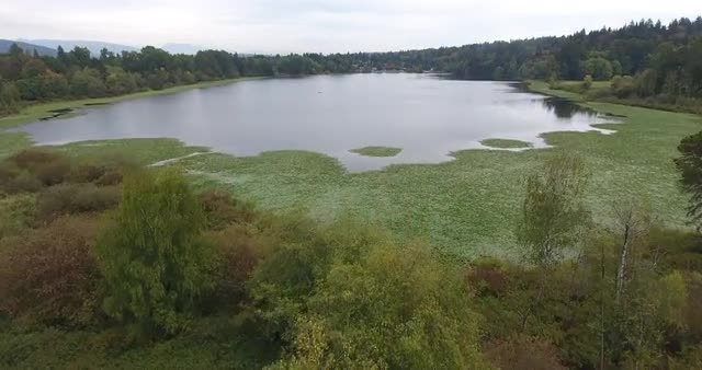 Aerial view flying above green field into a lake