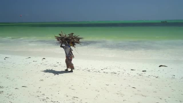 woman walking on beach carrying firewood on her head