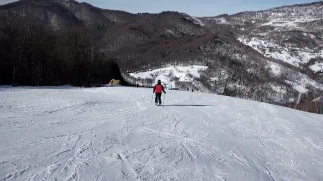 Slow Motion Rear View of Professional Skier Carving Down the Snowy Slope