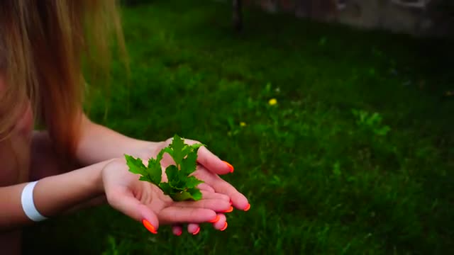 Gardener Girl Holding Green Sprout on Background of Green Lawn.