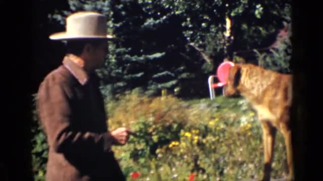 1939: the beautiful view of nature COLORADO