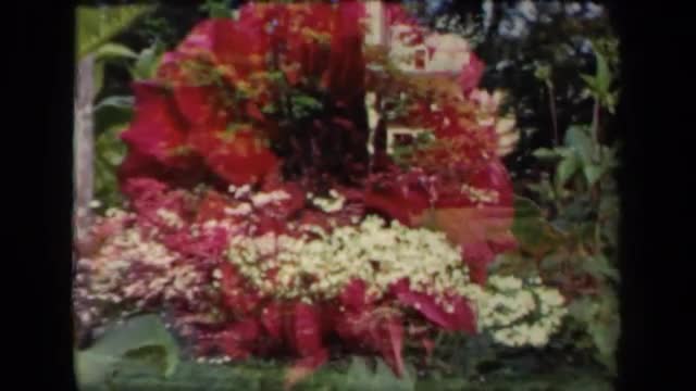 1941: in park peoples enjoying with trees and flowers,around full of flowers and green plants NEW YO