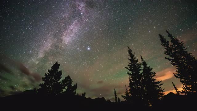 Time lapse of milky way behind trees