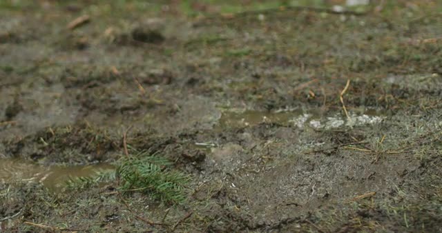 Hiker walking through a muddy puddle on a rainy day in slow motion