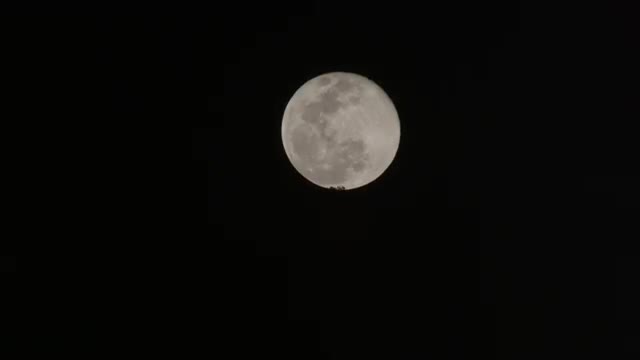Static shot of moon rising behind the trees