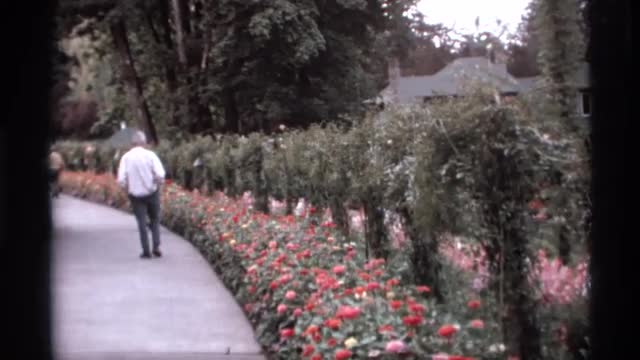 1974: a gentleman is walking along a path adjacent to some pretty flowers VANCOUVER CANADA