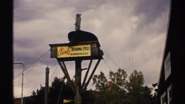 1971: a bear on top of a signpost NEW HAMPSHIRE