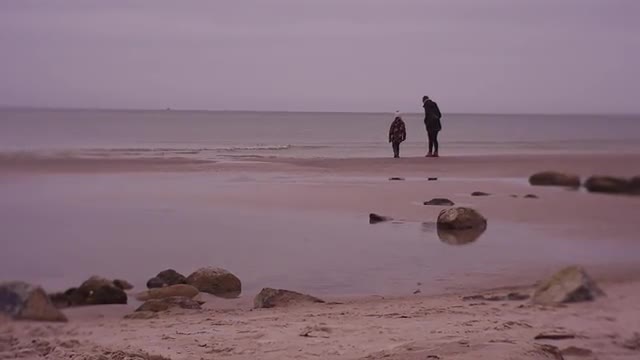 Salty Sea Water Has Flooded a Beach
