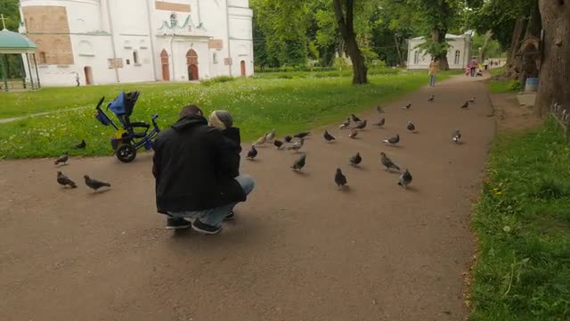 Theodosius Day Chernihiv Family Outdoors Church Courtyard Dad and Little Son Feeding Pigeons Enjoy t