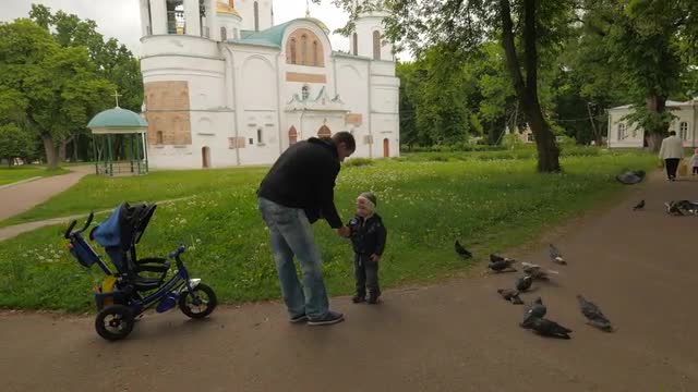 Theodosius Day Chernihiv Pigeons in Alley Cathedral Park Religious Building With Golden Cupolas and 