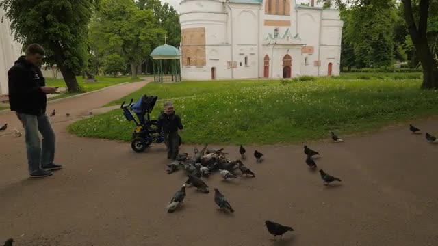 Theodosius Day Chernihiv Family Feeds Pigeons Dad and Son in Cathedral Courtyard Orthodox Church Gre