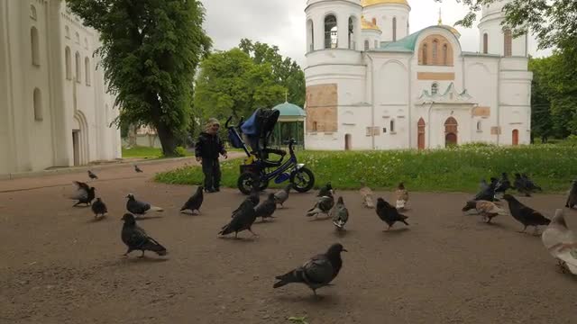 Theodosius Day Chernihiv Boy Plays With Pigeons Cathedral Courtyard Orthodox Church Green Lawn Cloud