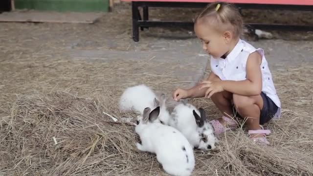 Cute little girl feeding rabbit from the hand