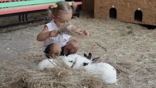Cute little girl feeding rabbit from the hand