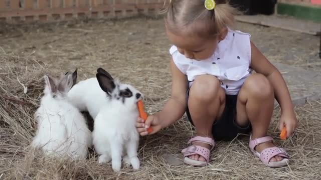 Cute little girl feeding rabbit from the hand