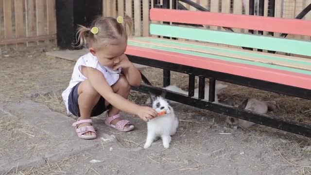 Cute little girl feeding rabbit from the hand