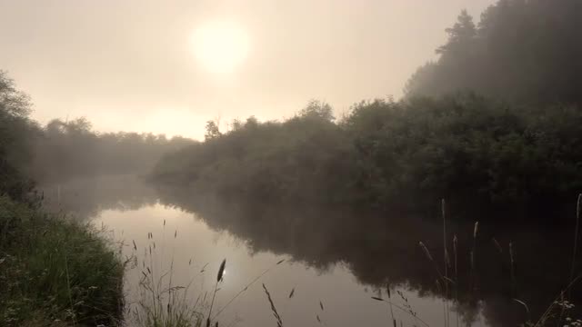 Fog Over Forest River in Early Morning. Summer Time.