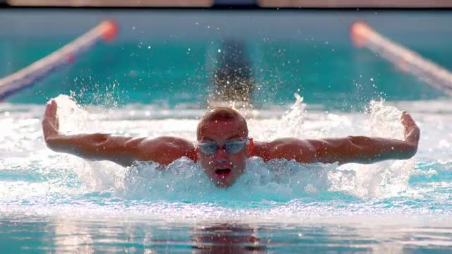 Male Athlete Swimming Butterfly Stroke In The Pool Towards Camera
