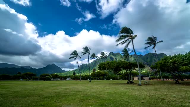 Hawaiian landscape