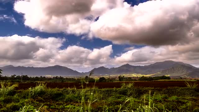 Hawaiian Landscape
