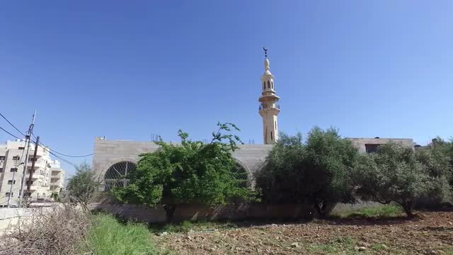 the Mosque is Among the Green Trees.
