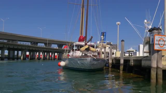 summer time miami boat parking ride 4k florida usa