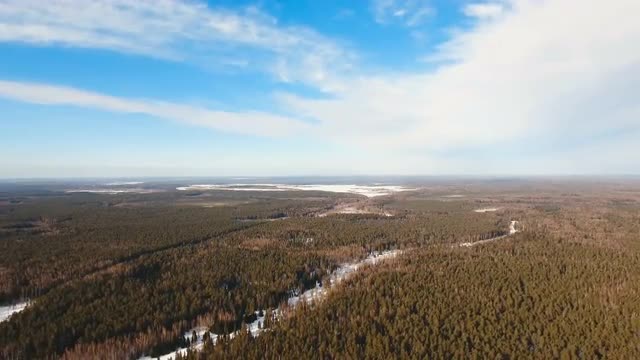 Winter landscape with forest.