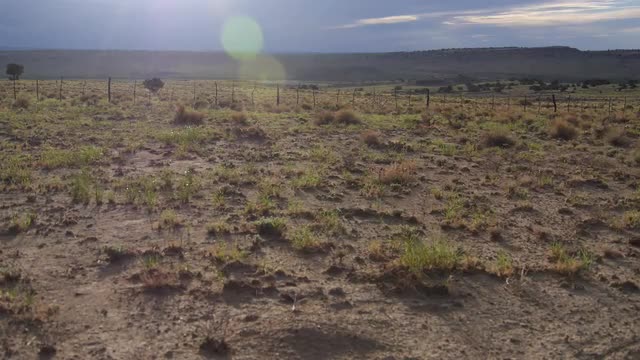 Evening Light New Mexico Desert