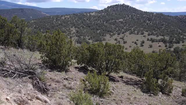 New Mexico High Landscape