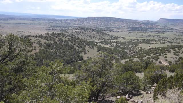 New Mexico High Landscape