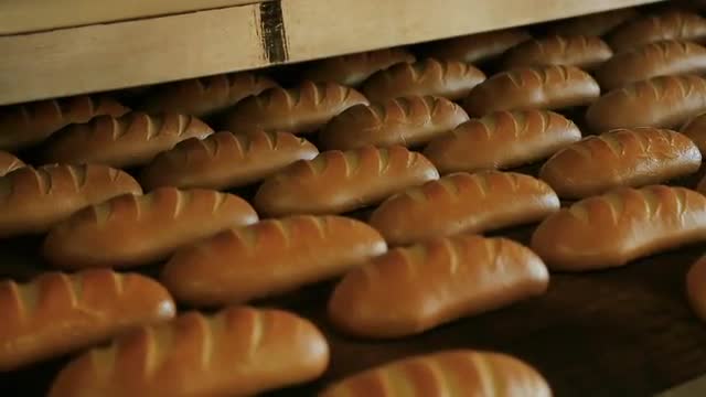 Warm baked bread at the exit of the oven