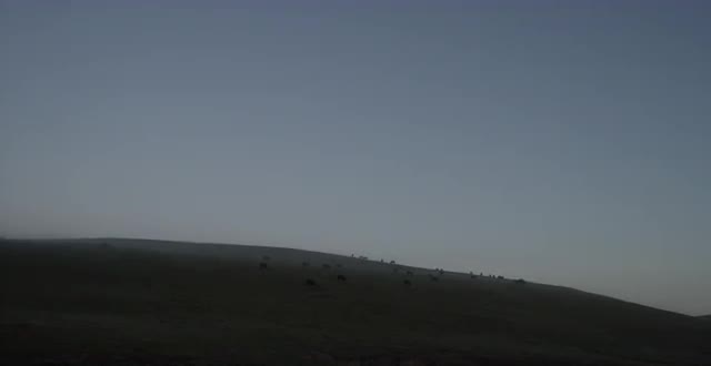 foggy countryside